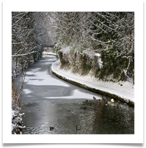 COLD SWIM - Des Hawley